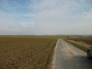 Malasisse Copse seen from north